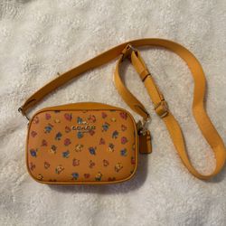 Coach Mini Jamie Camera Bag in Vintage Rose Print  