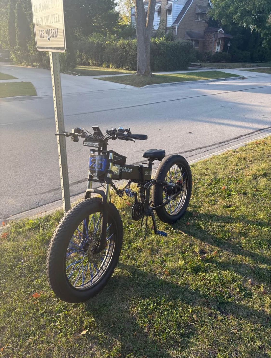 Ridstart  Electric Bike 