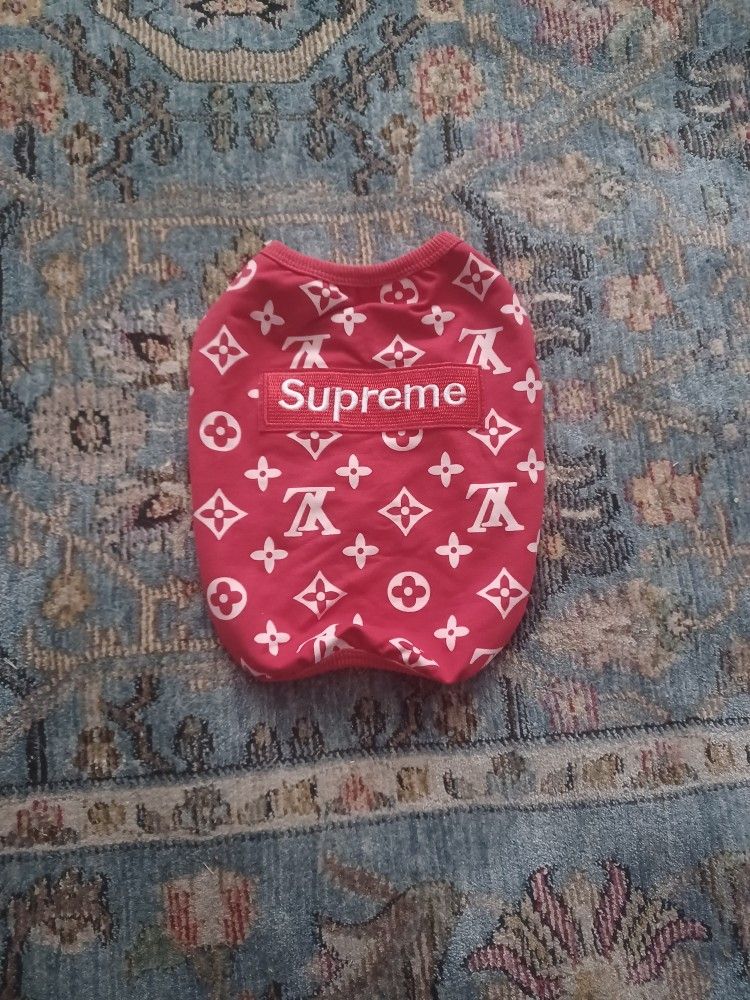 Little Dog Shirt