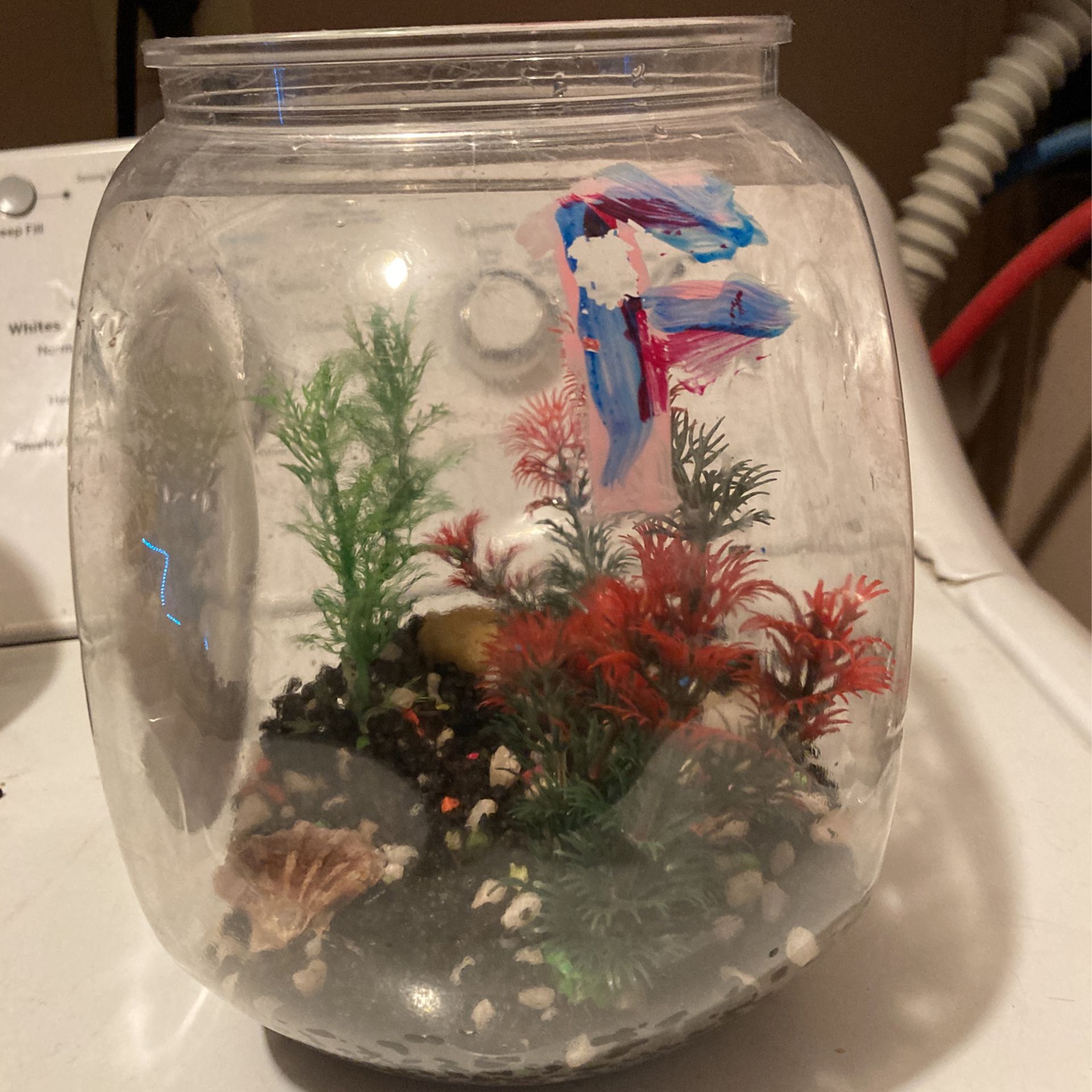 Fish Tank Starter Kit (plants And Rocks Included)