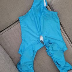 Bathing Suit