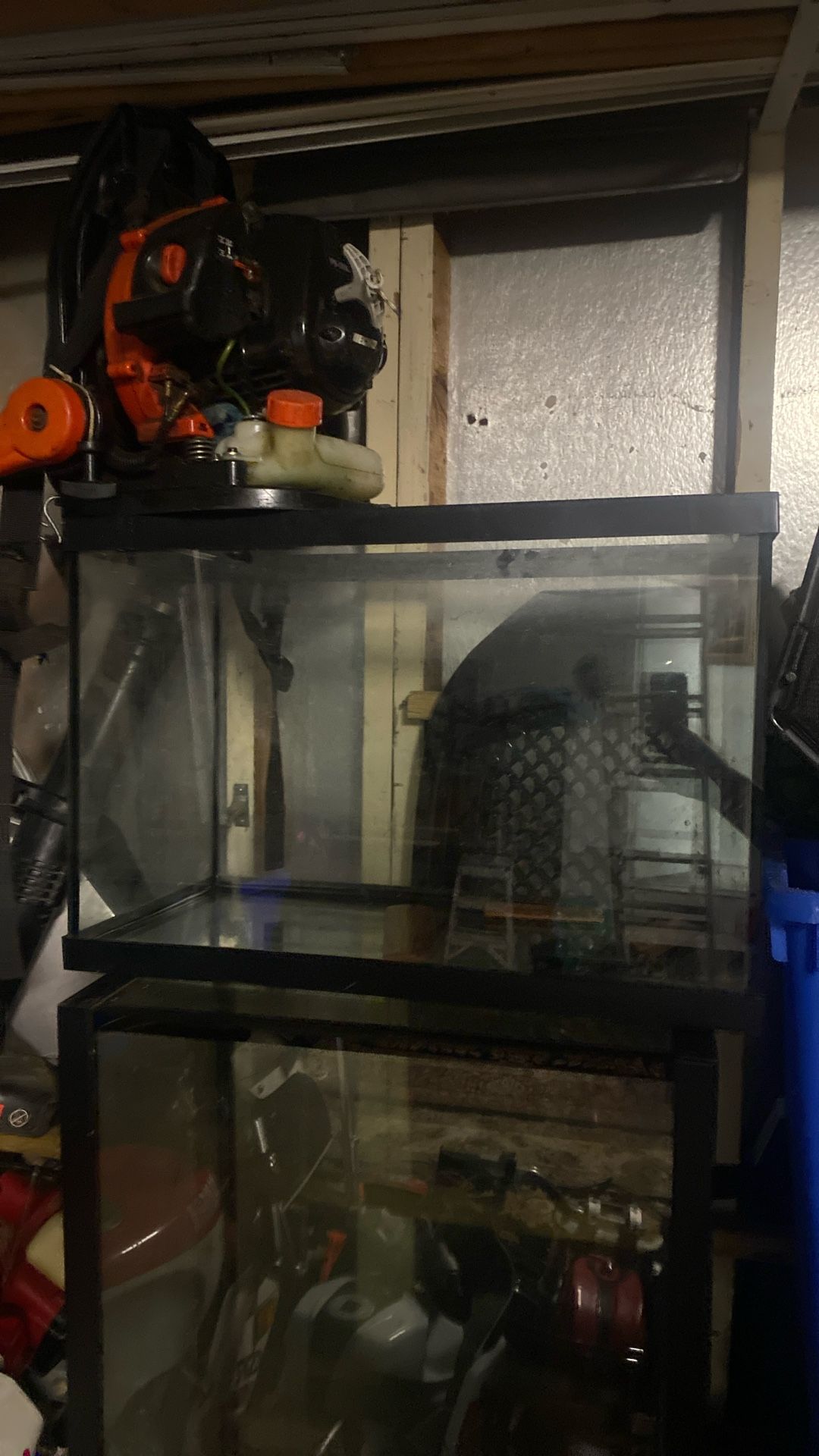 10 gallon