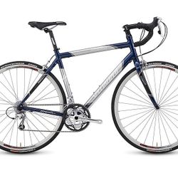 Twenty inch Shwinn Bike 4 Brakes Needs Cables 