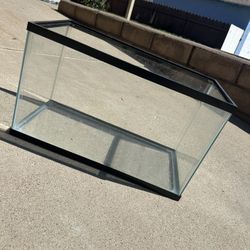 Fish Tank & Essentials 