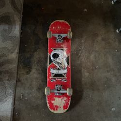 Tony Hawk Skate Board