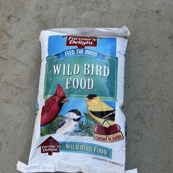 Bird food