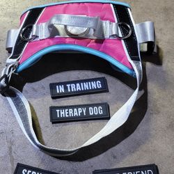 3 Ring No Pull Dog Harness