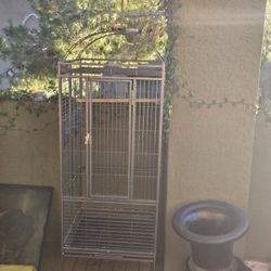 Complete Parrot Package 