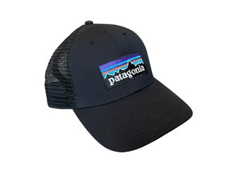 Patagonia Black Classic Hat