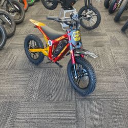 Tuttio ARC- Kids eBike Age 5-13 750W/36V (22mph/25 miles battery)