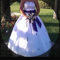 Quinceañera/Wedding Dress