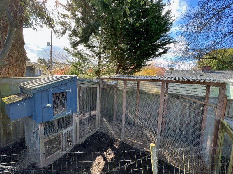 Saltbox Chicken Coop With Runner