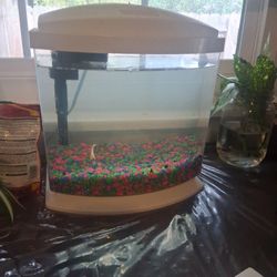 Fish Tank
