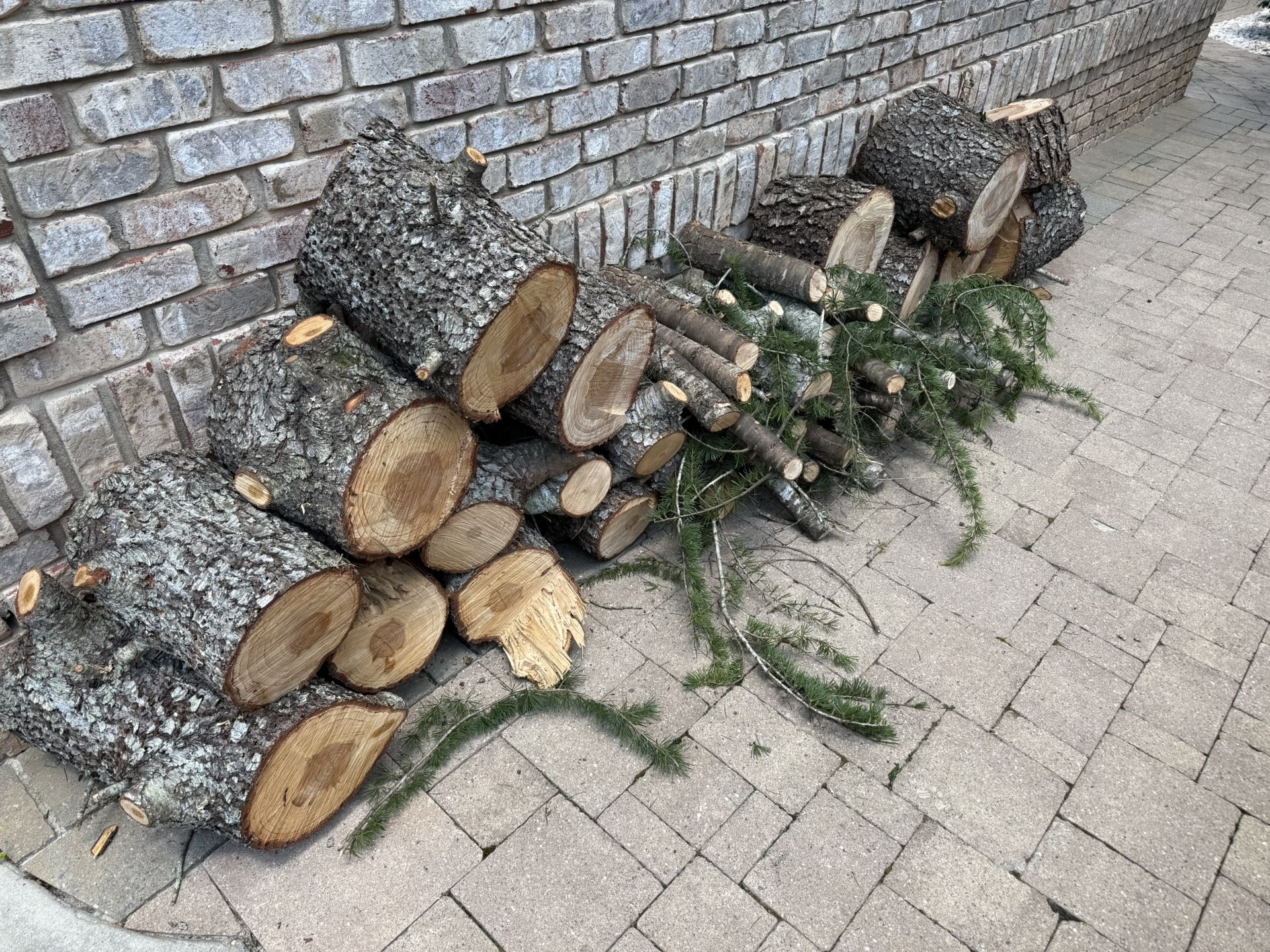 Firewood