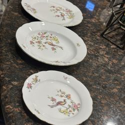 Elegant and Collectible Set of China Dinner Plates