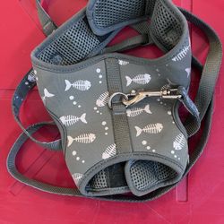 Cat Harness