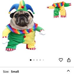 Dog costume.