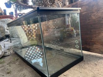 75 gallon tank