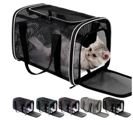 New Cat Carrier