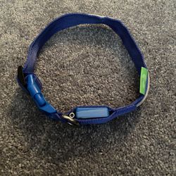 Light Up Dog Collar 