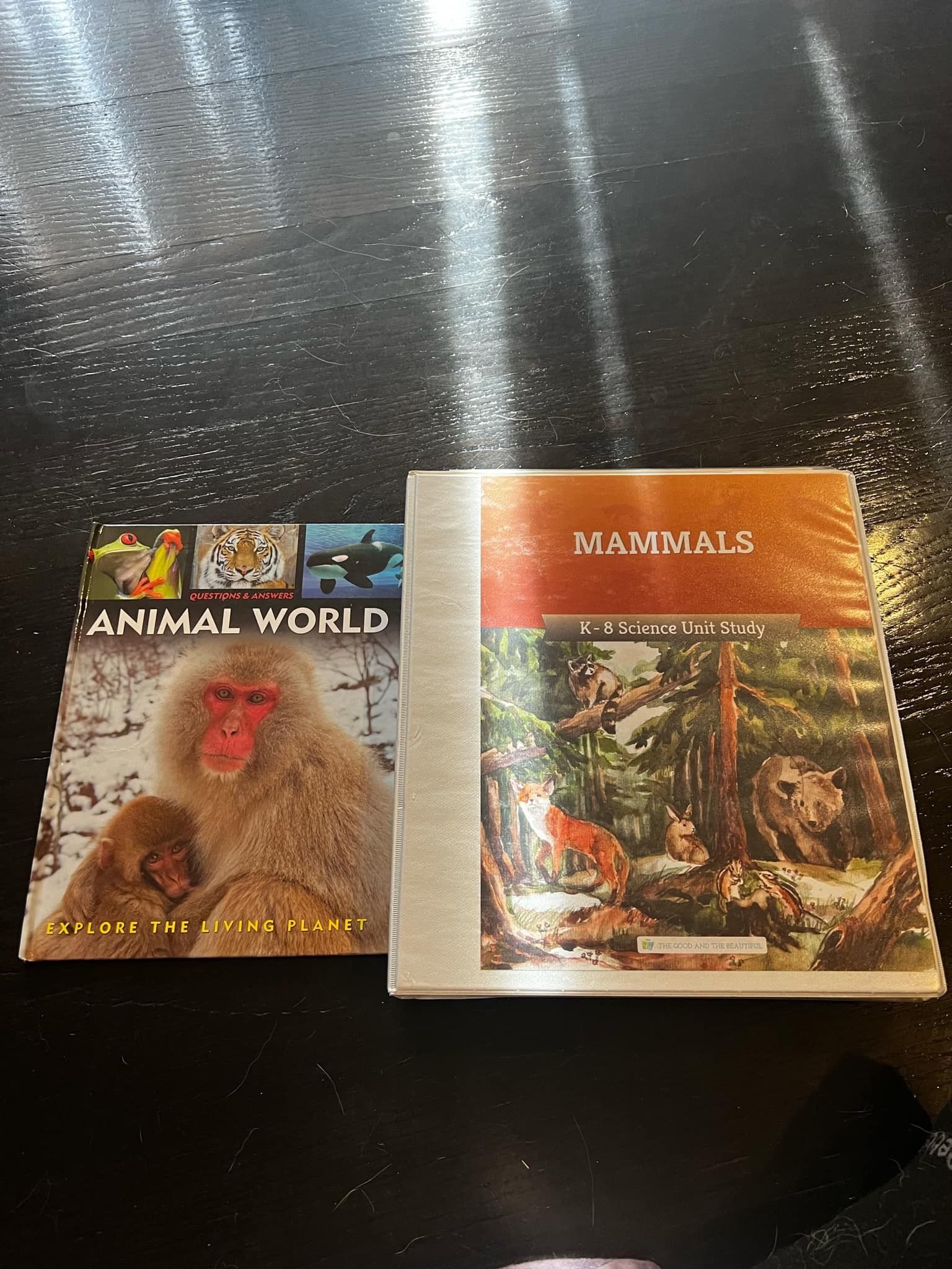 Good and the Beautiful Curriculum
