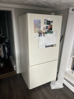 Fridge