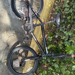 20” Hyper Spinner