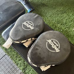 Boxing mitts