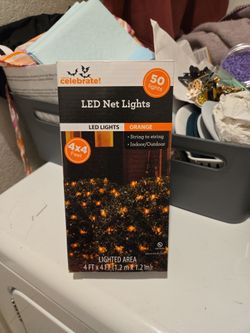 Halloween lights new $5