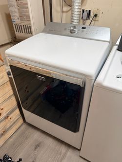 Bravos XL steam/electric dryer with the smoked glass door