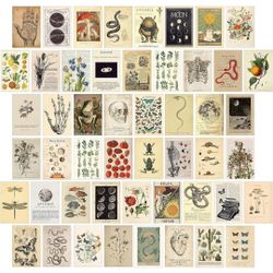 Vintage Wall Collage Kit Aesthetic Pictures Cottagecore Botanical Wall Posters for Room Nature Illustration Boho Trendy Indie Wall Photo Prints for Gi