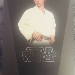 Star Wars Luke Skywalker HOT TOYS!! 