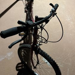 Bike 26