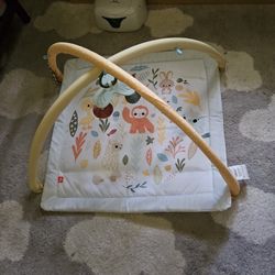 Fisher Price Play Mat