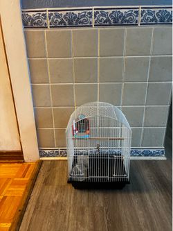 Small bird cage