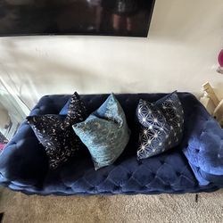 2 Pieces Velvet Couch Set 