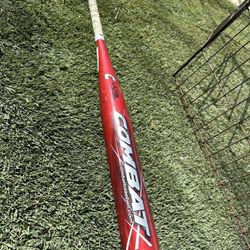 Baseball Bat 