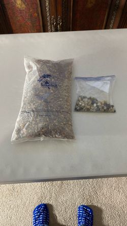 Bonsai Jack Succulent, Cactus Bonsai Soil