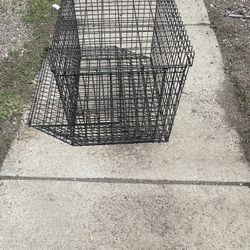 Dog Cage 