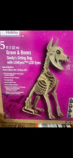Halloween decorations