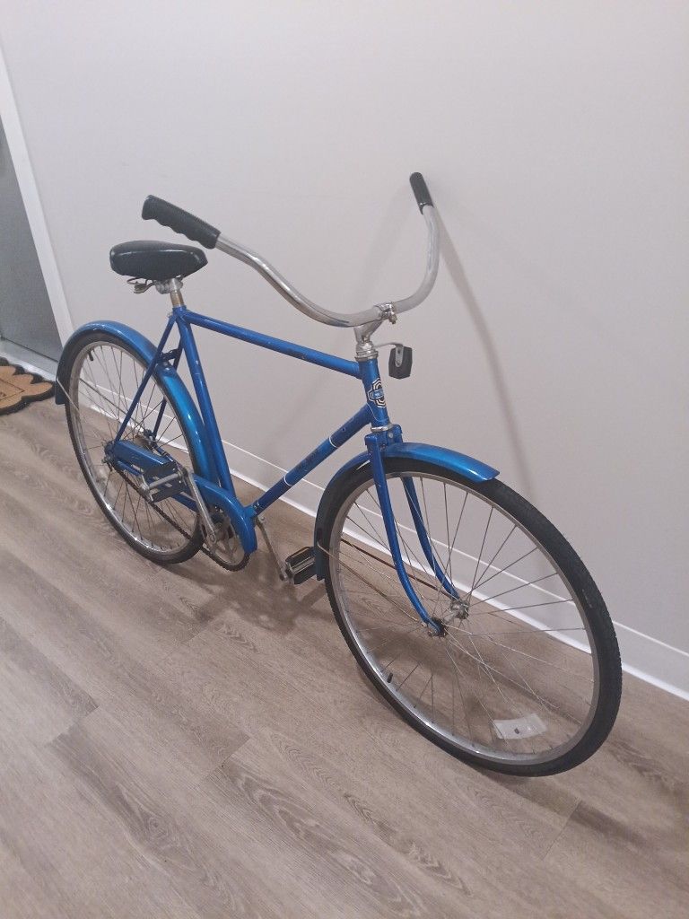 Free Spirit 27" Cruiser