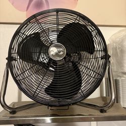 Fan