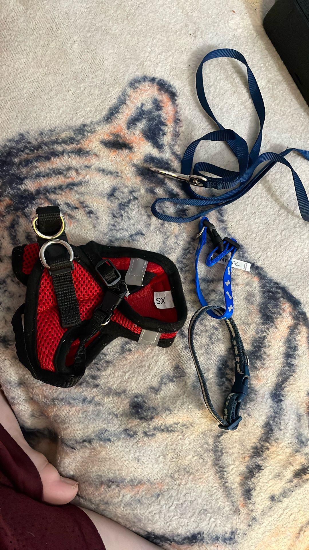 Pet Accessories ( Harness/ Collars/ Leash)