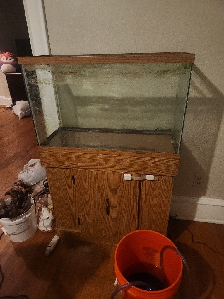 Aquarium With Stand