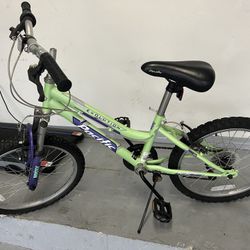 Pacific Evolution Bike 