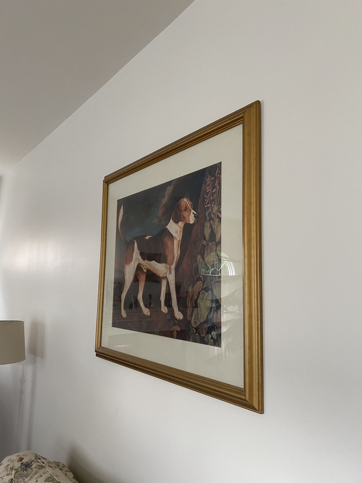 Large dog photo and frame