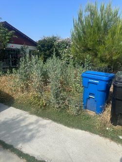 Trash