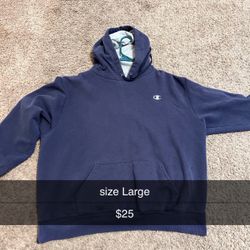 blue champions hoodie