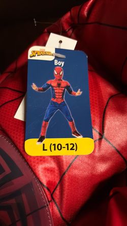 Spider-Man costume