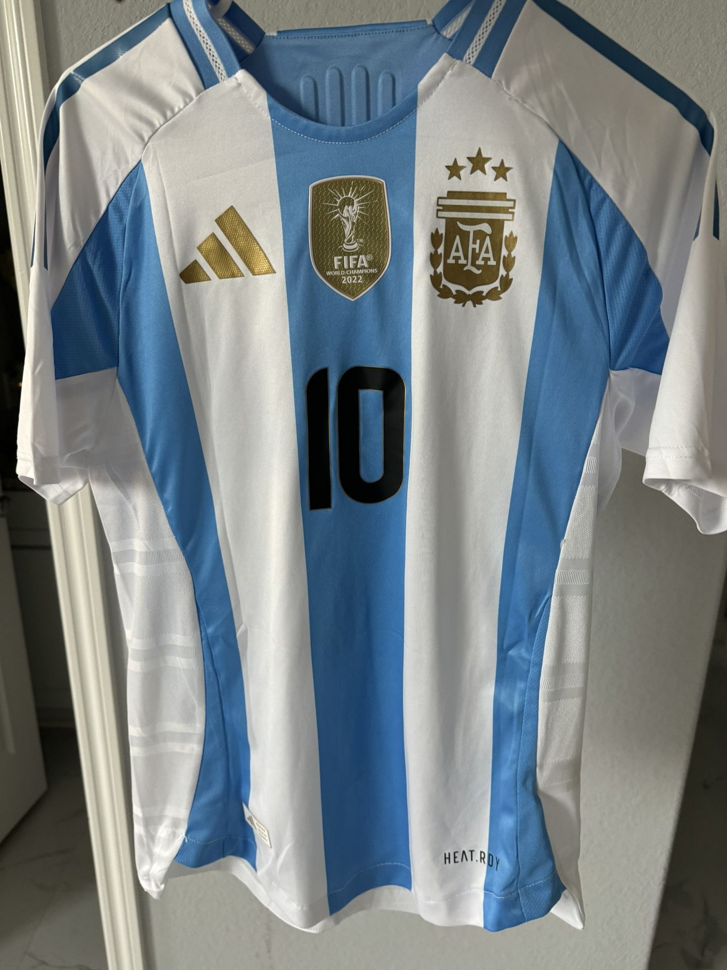 Fake Argentina Replica Jersey Player Versión